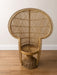 Wicker peacock chair rental